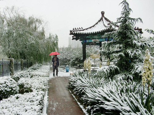 ���ұ��������