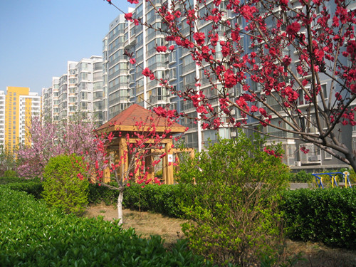 ���ұ��������