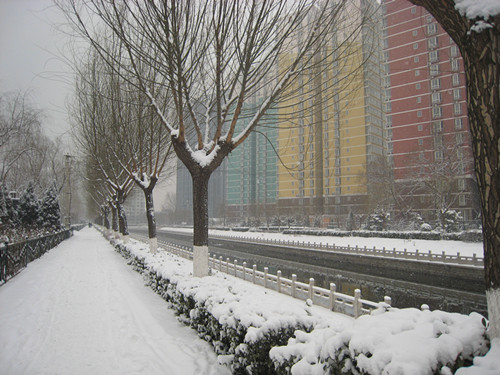 ���ұ��������